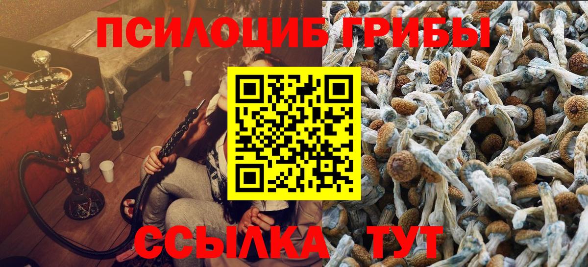 где купить наркотик  Вход с VPN  Салехард  Псилоцибиновые грибы Psilocybe  Галлюциногенные грибы Magic Shrooms 